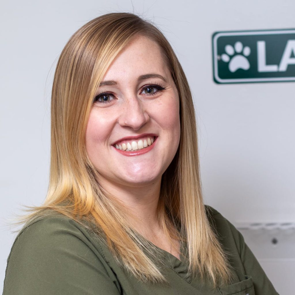 Groomer - Laura Leigh